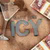 Nath Arm - Icy - Single